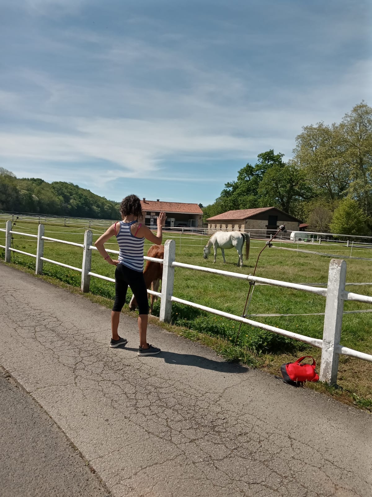 AINTZANE TRANS BILBAINA ESPAÑOLA VASCA NACIONAL