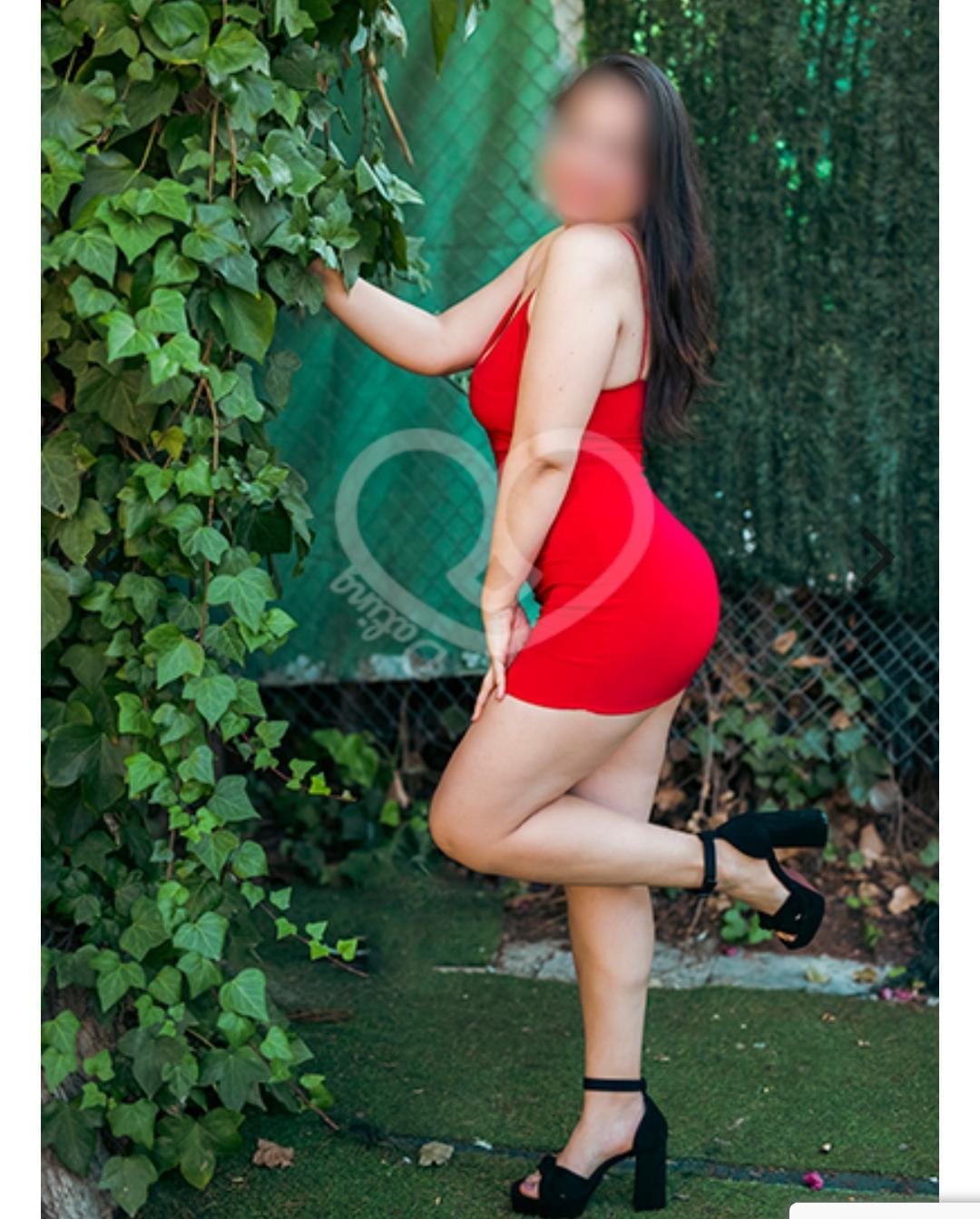 FIESTERAS  24 HORAS  COLOMBIANAS ELDA PETER