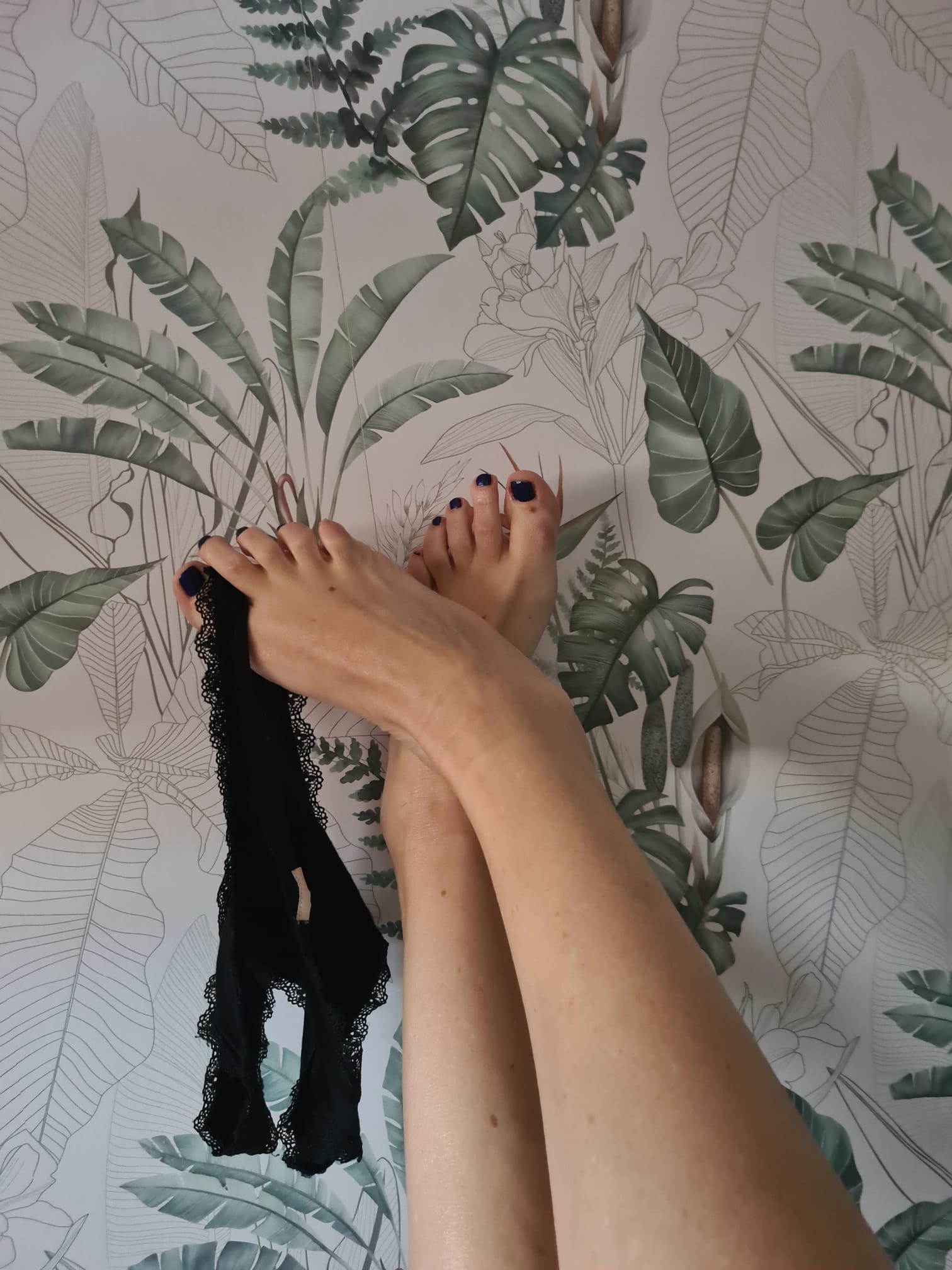 AMA LION SEXTING VIDEOLLAMADAS PRESENCIAL