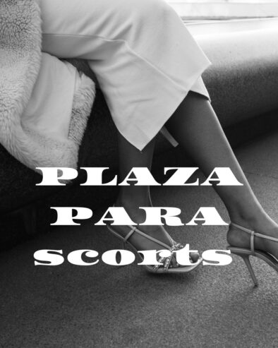 ALTOS INGRESOS ASEGURADOS PLAZA EN SUIZA