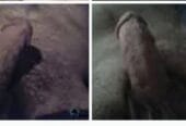 Buscando mujer de Cartagena para follamistad