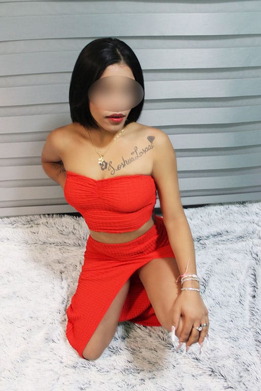 Tu compañía perfecta