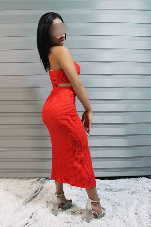 Tu compañía perfecta