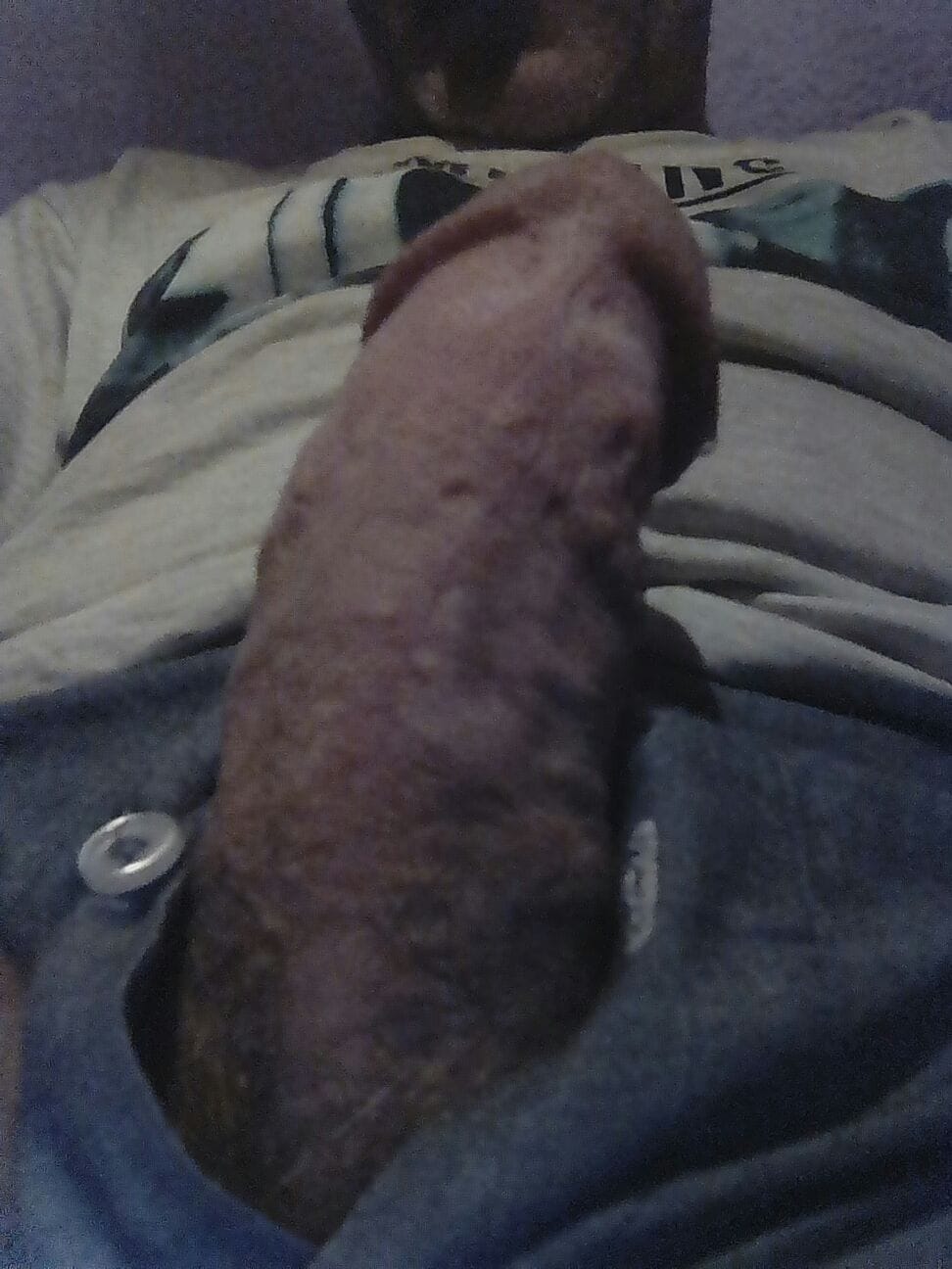 A casada aburrida en cartagena